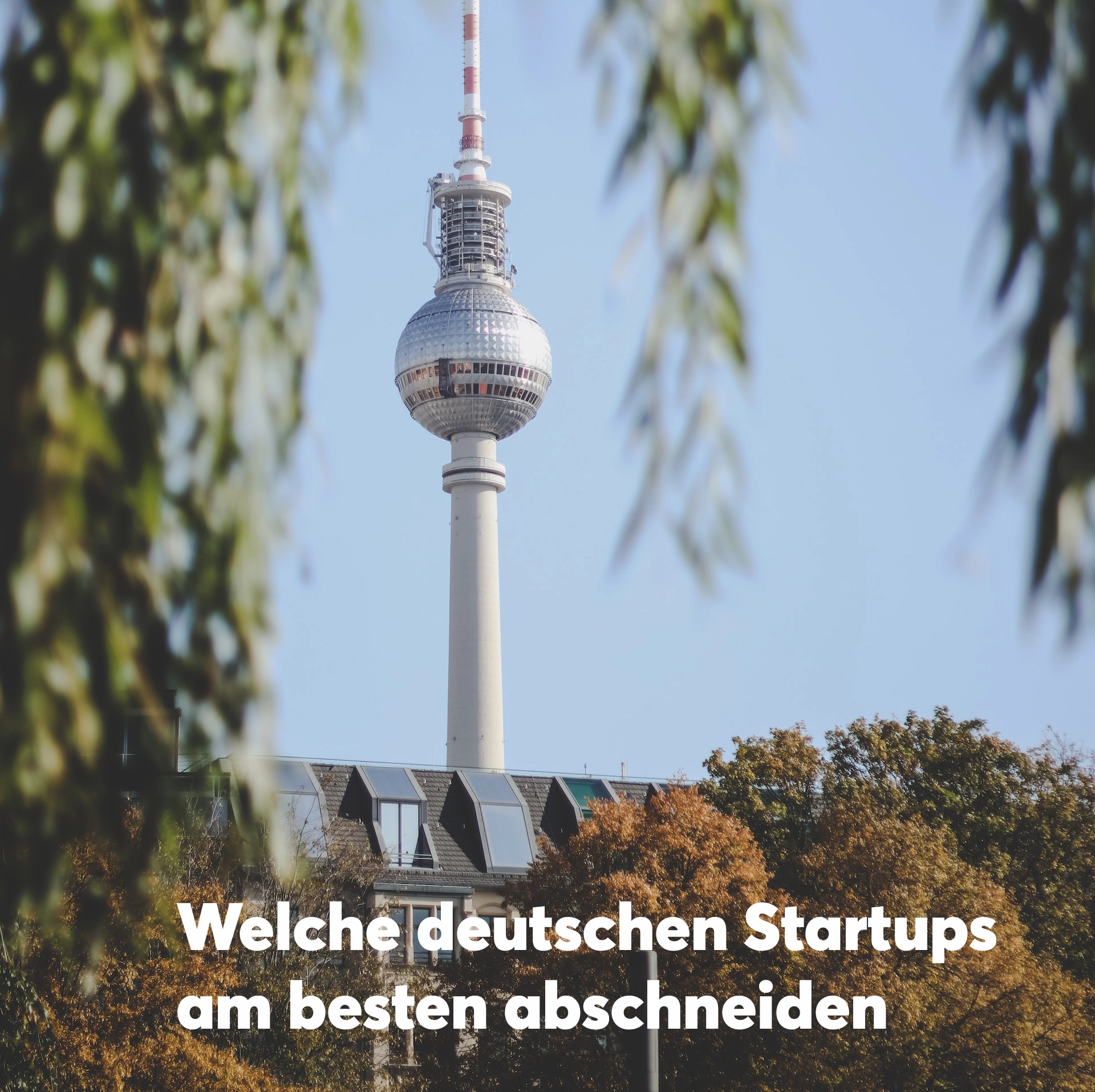 Welche deutschen Startups am besten abschneiden